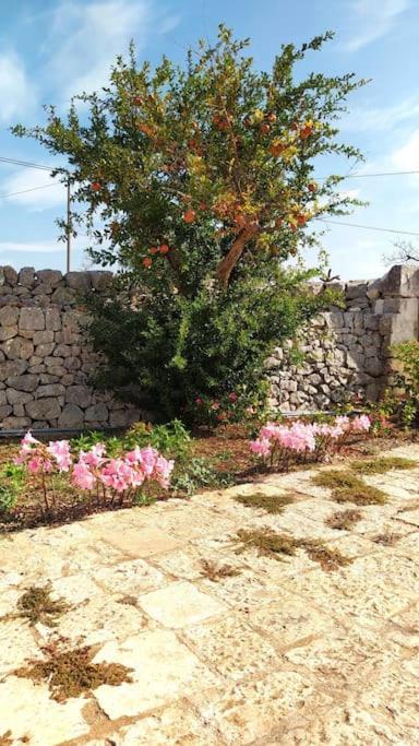 הוילה פוטיניאנו Trullo Mami מראה חיצוני תמונה