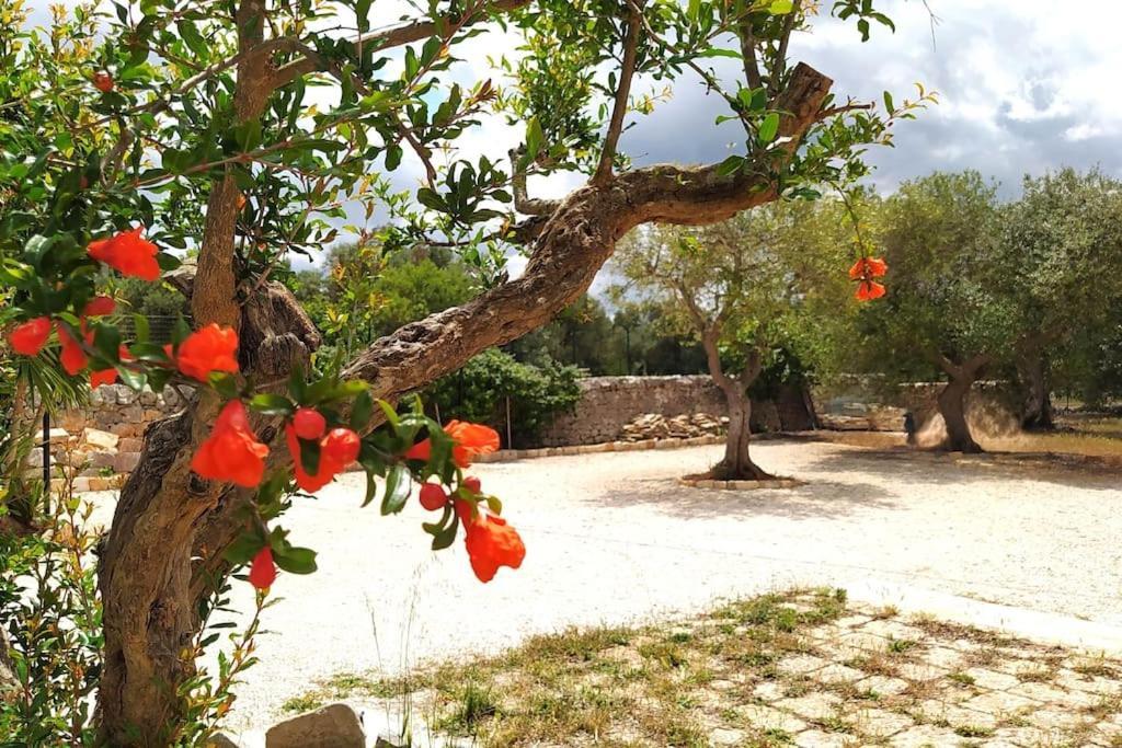 הוילה פוטיניאנו Trullo Mami מראה חיצוני תמונה